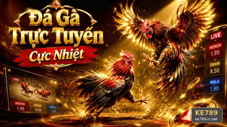 Đá Gà KE789: Phân Biệt Dữ Kiện, Quảng Cáo Và Kỳ Vọng Thực Tế Khi Quản Lý Phiên Chơi