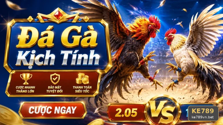 Đá Gà KE789: Nhận Diện Lỗi Thường Gặp Và Cách Xử Lý Có Trách Nhiệm Qua Lịch Sử Phiên Chơi