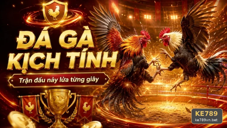 Đá Gà KE789: Giải Đáp Câu Hỏi Thực Tế Về Cách Kiểm Tra Thông Tin Đá Gà Cho Người Dùng Trưởng Thành
