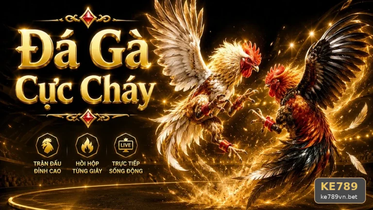 Kinh Nghiệm KE789 Trên Điện Thoại: Theo Dõi Lịch Sử Đá Gà Trực Tuyến Và Quản Lý Phiên Chơi Cho Người Mới